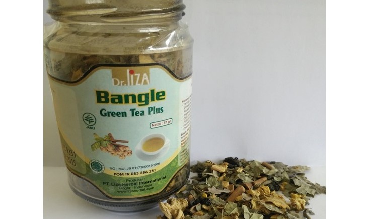 バングレ（ジャワしょうが）入緑茶　②ジャワしょうが＝バングレ(Bangle)