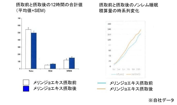 メリンジョ摂取時のマウスにおける睡眠効果②