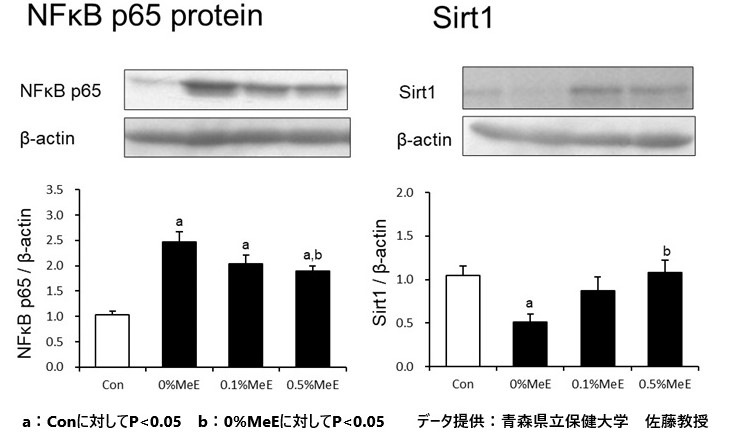 メリンジョ摂取により増加したSirt1